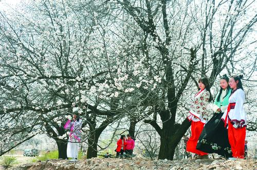 24直播体育多屏直播